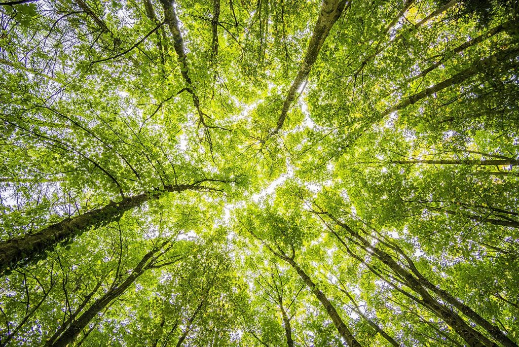 Sentier des Jésuites